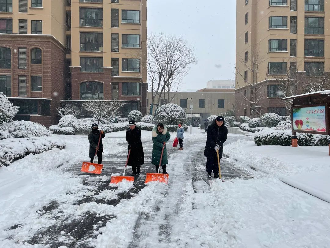 除雪破冰 温暖守护丨把业主照顾好，冶都美好生活！